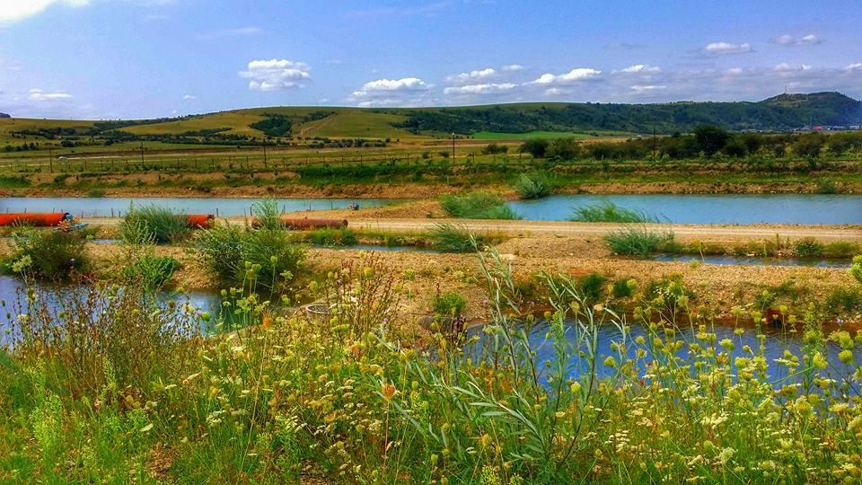 Pastravaria Ursu Vinatori-Neamt Екстер'єр фото